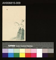 藏品(中國風景風俗繪畫明信片)的圖片